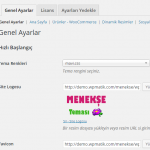 menekse admin panel